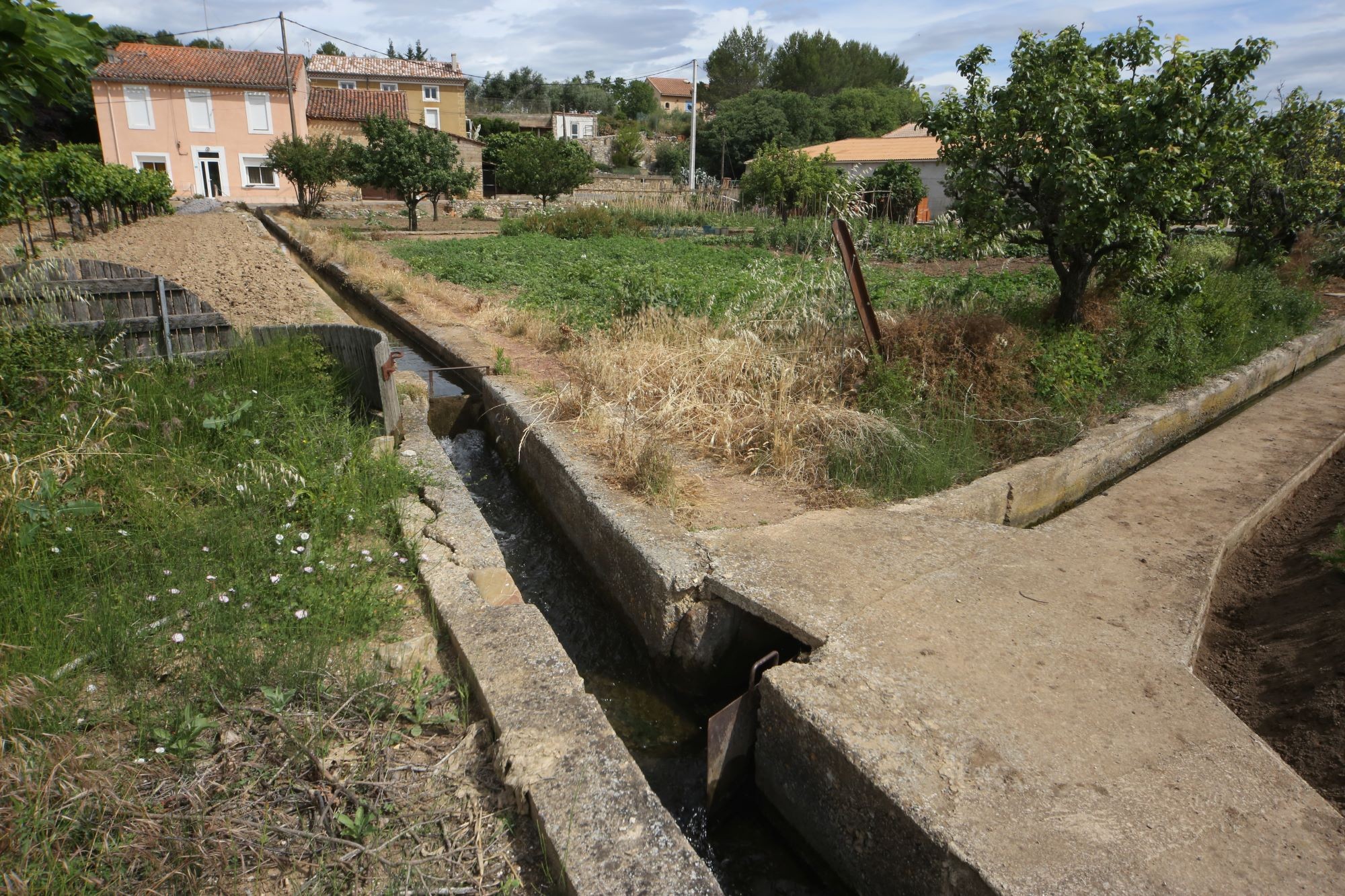 le béal  d'arrosage et les jardins