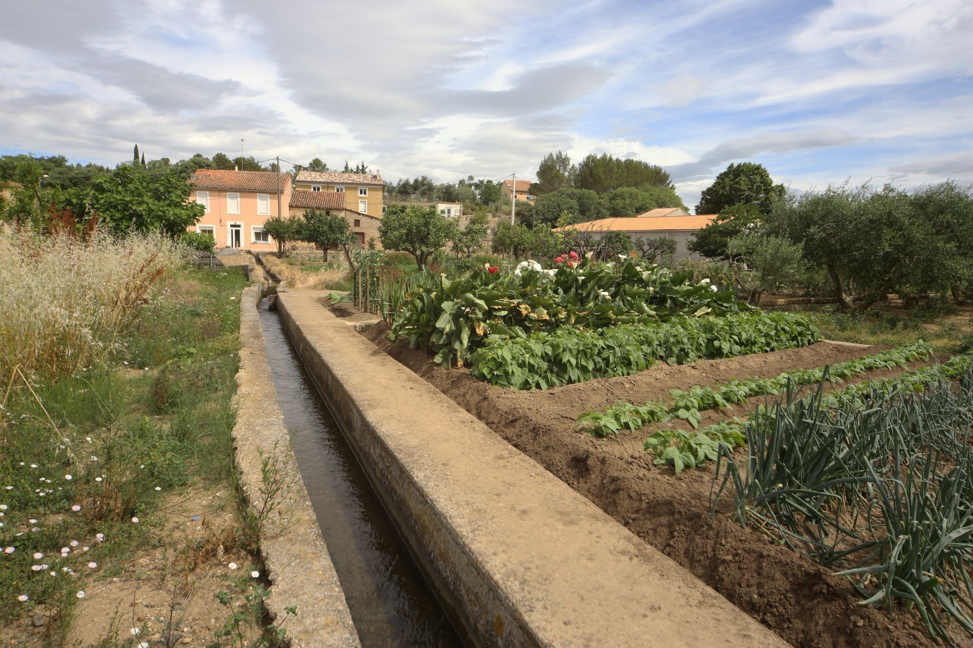 les jardins potagers