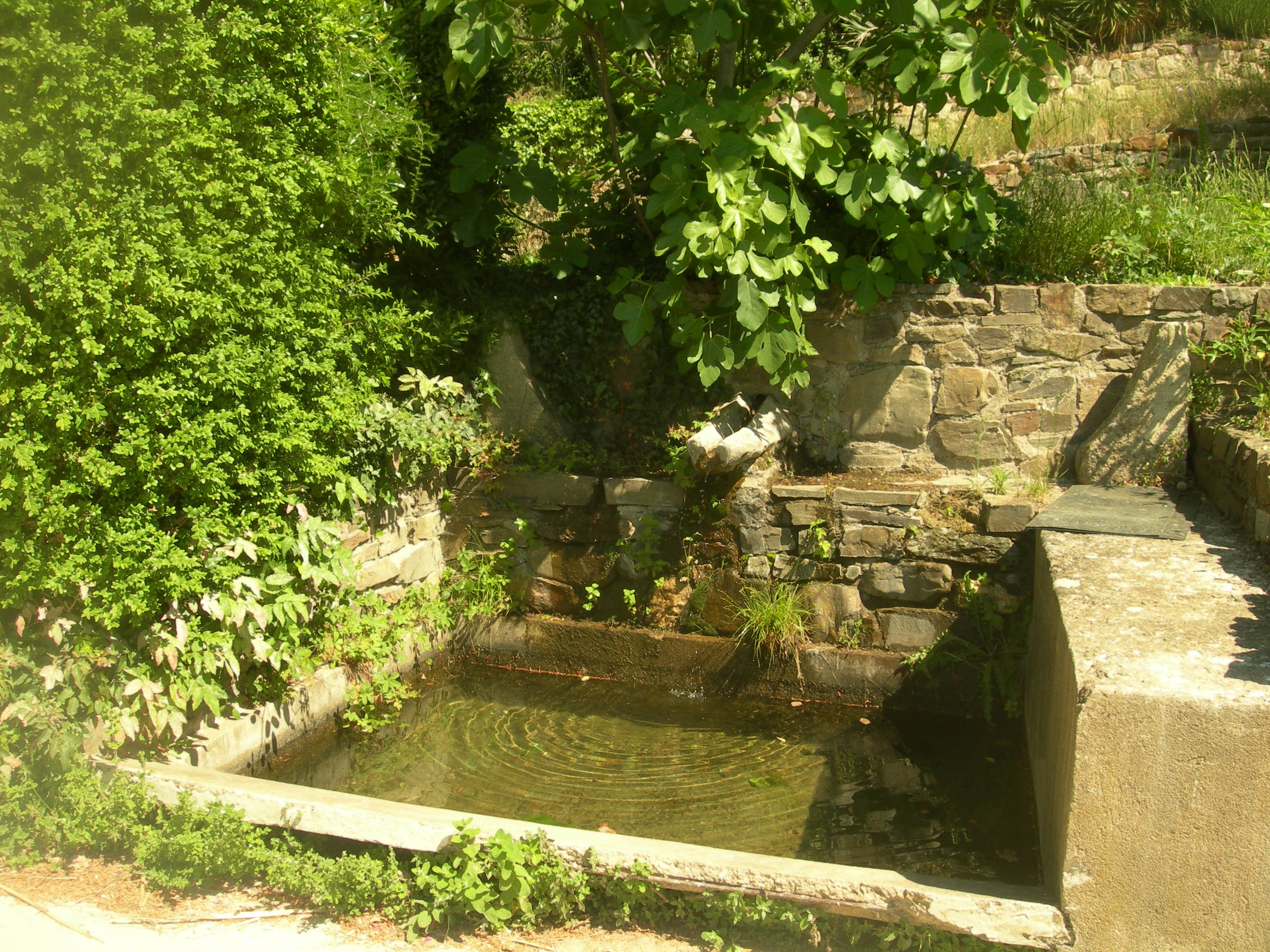 le bassin en pierre de la source