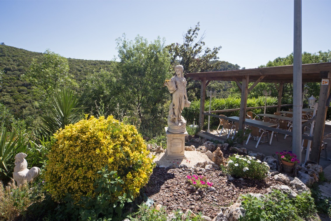 L auberge vigneronne de la bosque