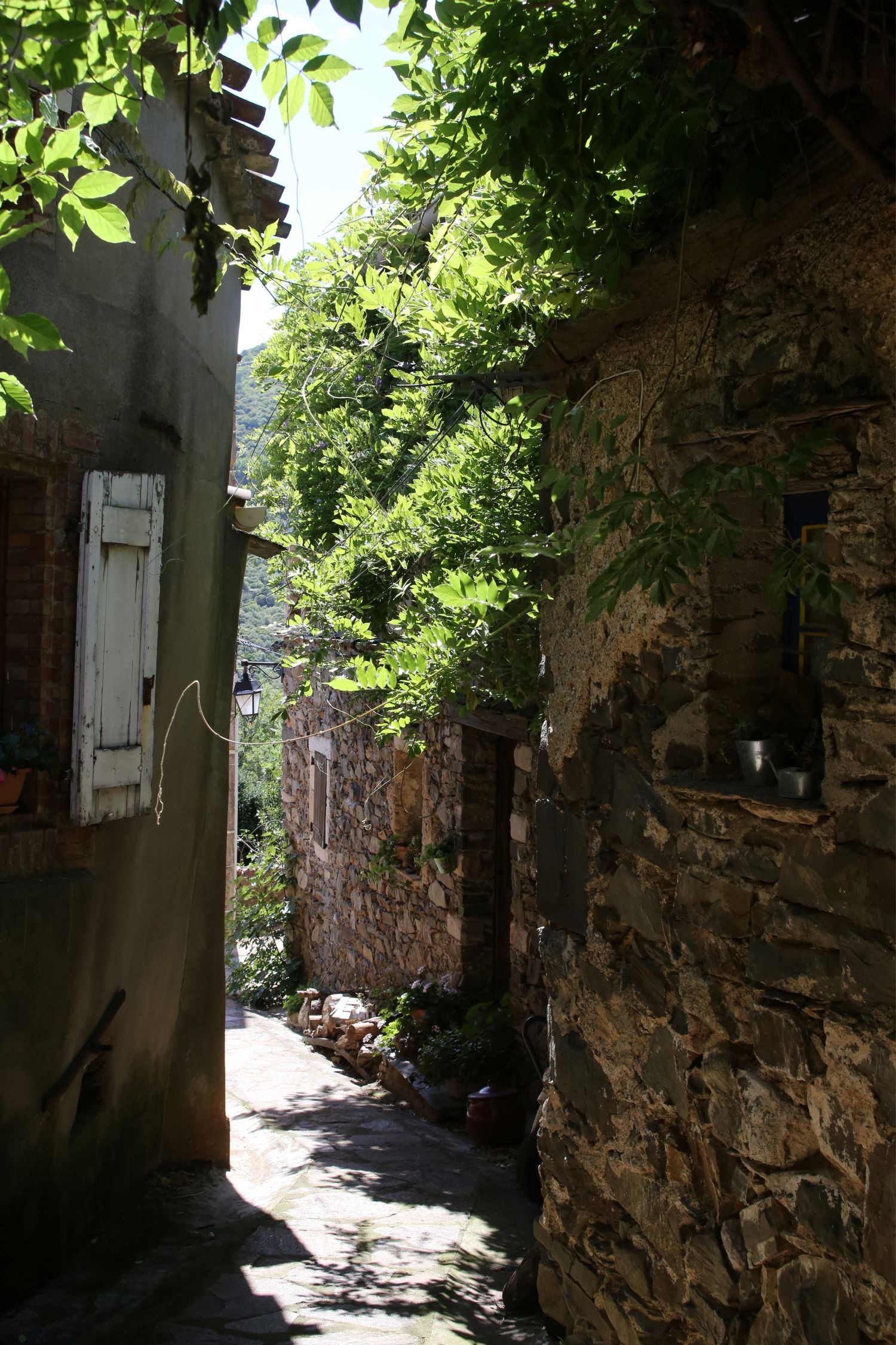 ruelle