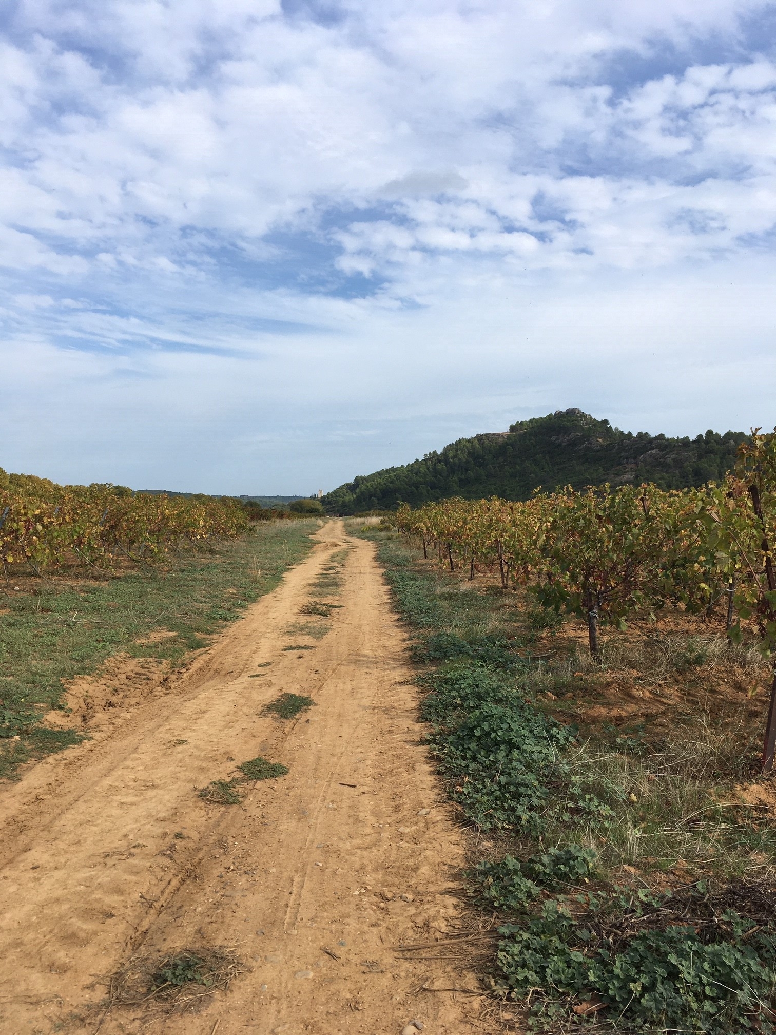 près du vignoble de SAINT-CHINIAN