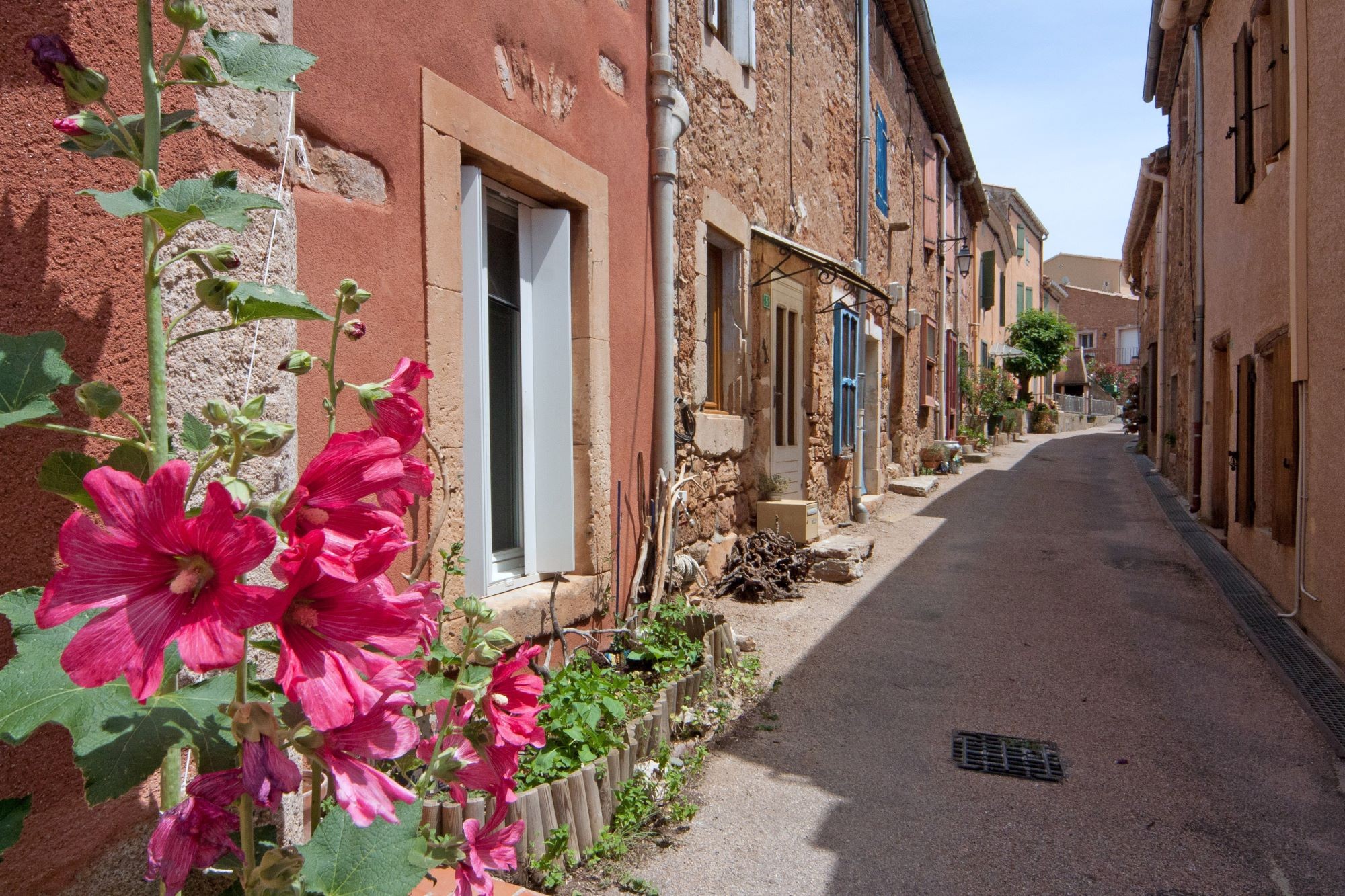 Rue des fleurs